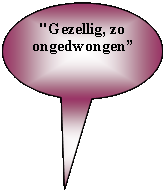 Tekstballon: ovaal: "Gezellig, zo ongedwongen