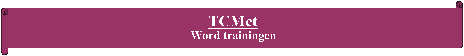 Rol: horizontaal: TCMct Word trainingen