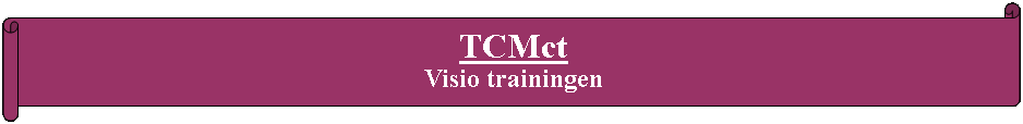 Rol: horizontaal: TCMct 
Visio trainingen
