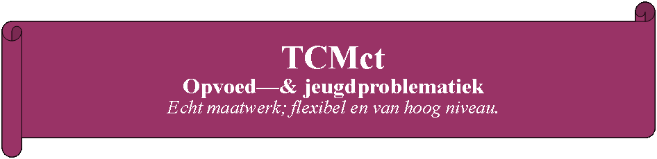 Rol: horizontaal: TCMct Opvoed—& jeugdproblematiekEcht maatwerk; flexibel en van hoog niveau.